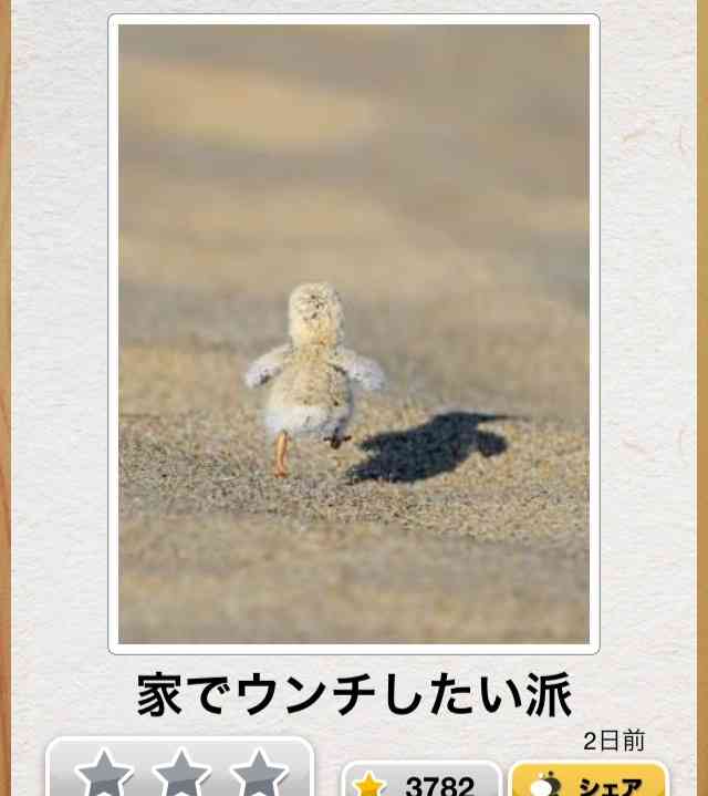 あなたが一番好きな画像