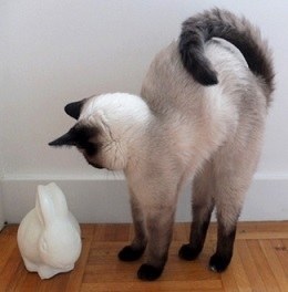 あなたが一番好きな画像