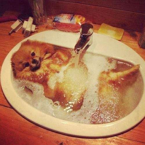あなたが一番好きな画像