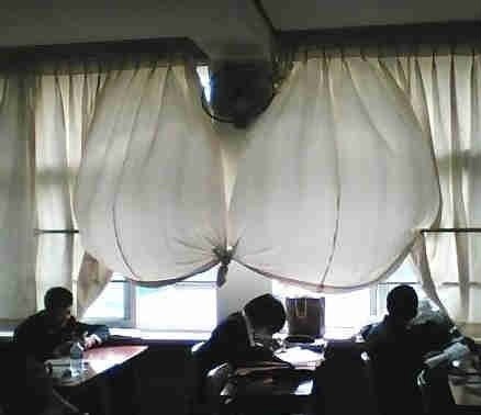 あなたが一番好きな画像