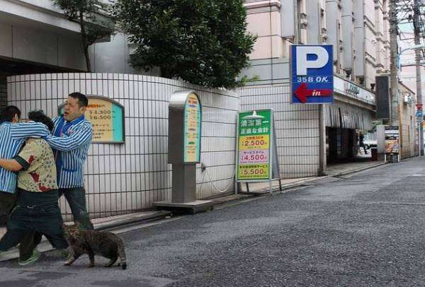 あなたが一番好きな画像