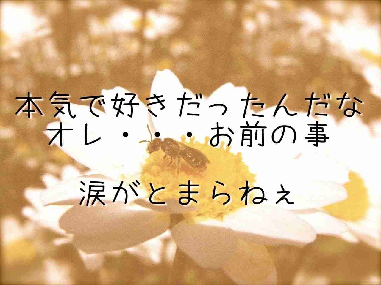 ざまあみろっ....恋愛編