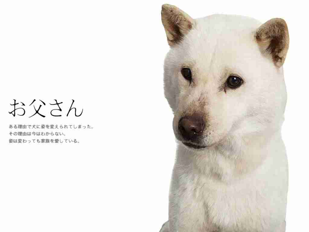 CM出過ぎだろ！と思う芸能人