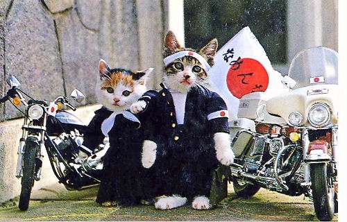 あの一発屋の歌手の方々