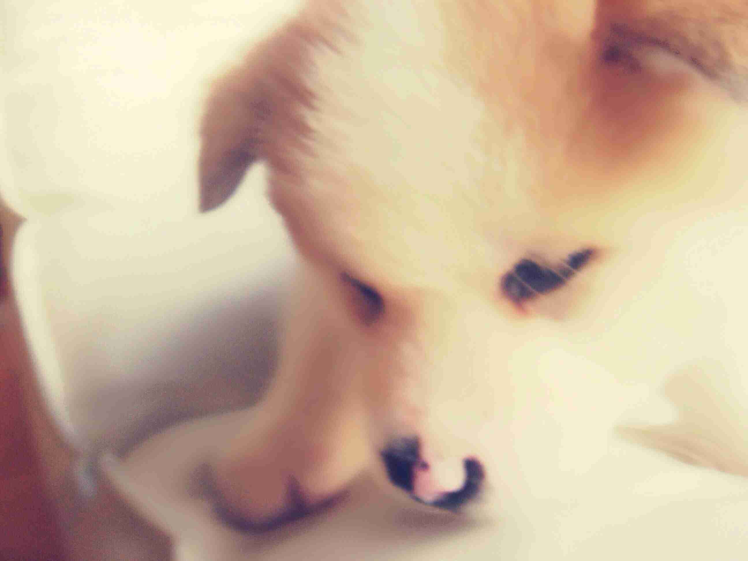 みなさんの、待ち受け画像を見せ合いましょう!