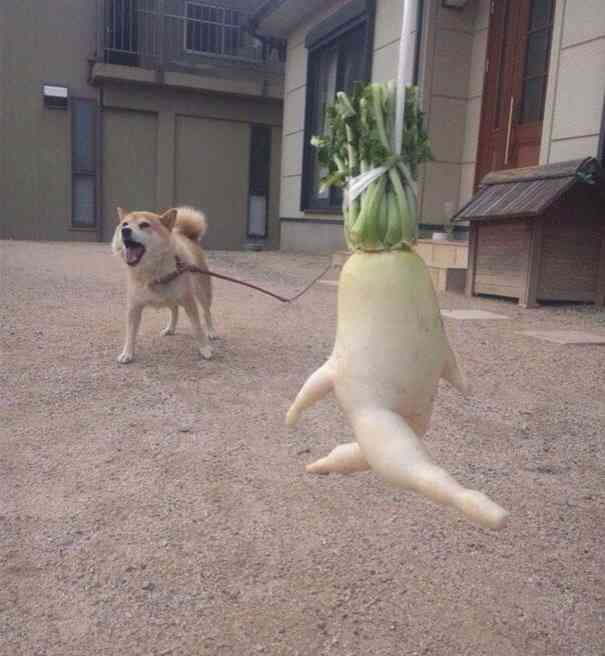 みなさんの、待ち受け画像を見せ合いましょう!