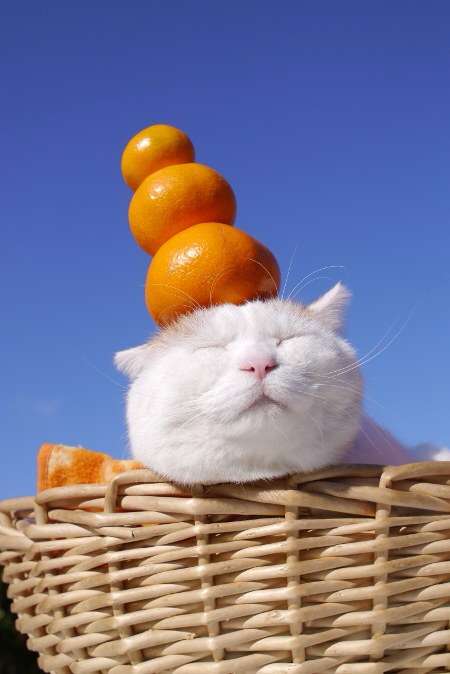みなさんの、待ち受け画像を見せ合いましょう!