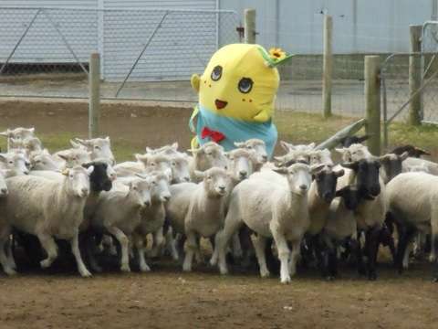 みなさんの、待ち受け画像を見せ合いましょう!