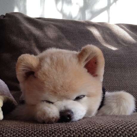 みなさんの、待ち受け画像を見せ合いましょう!