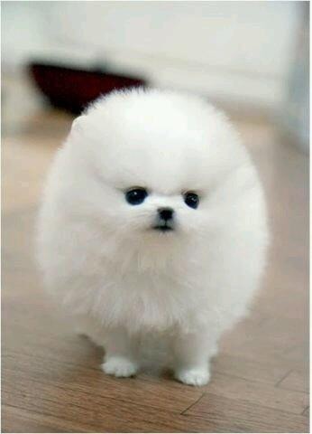 みなさんの、待ち受け画像を見せ合いましょう!
