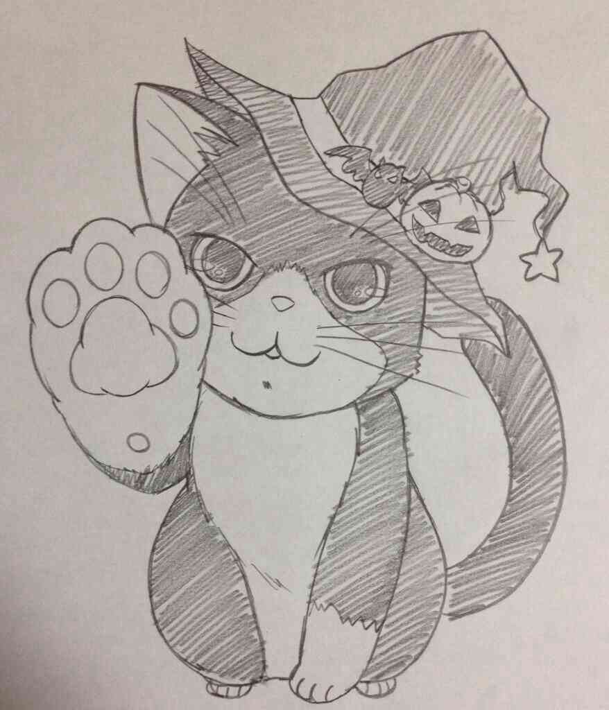 みなさんの、待ち受け画像を見せ合いましょう!