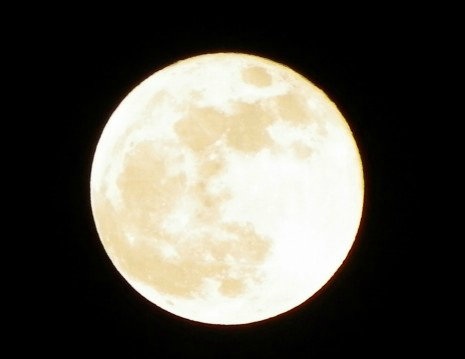 みなさんの、待ち受け画像を見せ合いましょう!