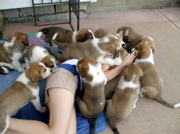 ハグしてる画像ください!