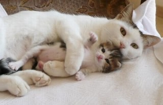 ハグしてる画像ください!