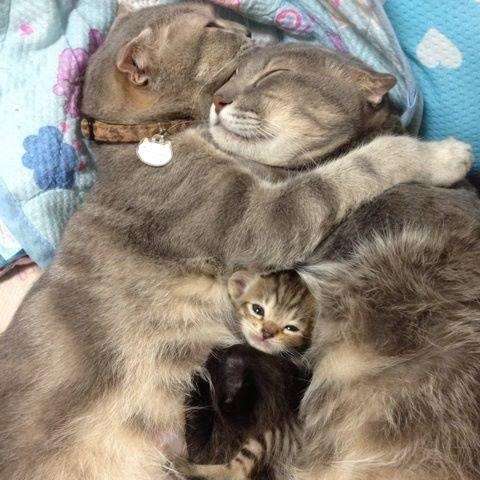 ハグしてる画像ください!