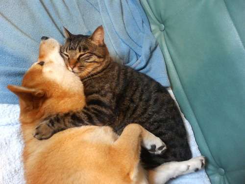 ハグしてる画像ください!