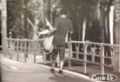 この人したたかだなと思う人