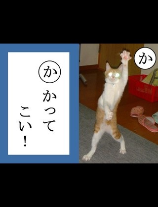 ちょっとクスッとくる猫の画像