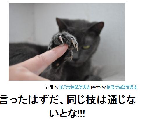 ちょっとクスッとくる猫の画像