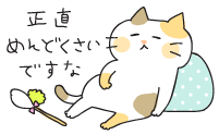 落としたり無くしたことがある物