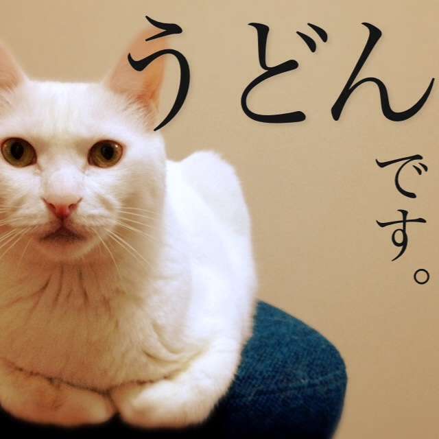 あなたのペットの名前と由来は??