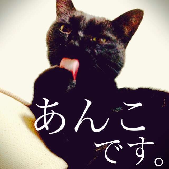 あなたのペットの名前と由来は??