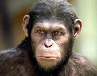 みなさん、今週もお疲れ様です。イケメン画像で目の回復を。