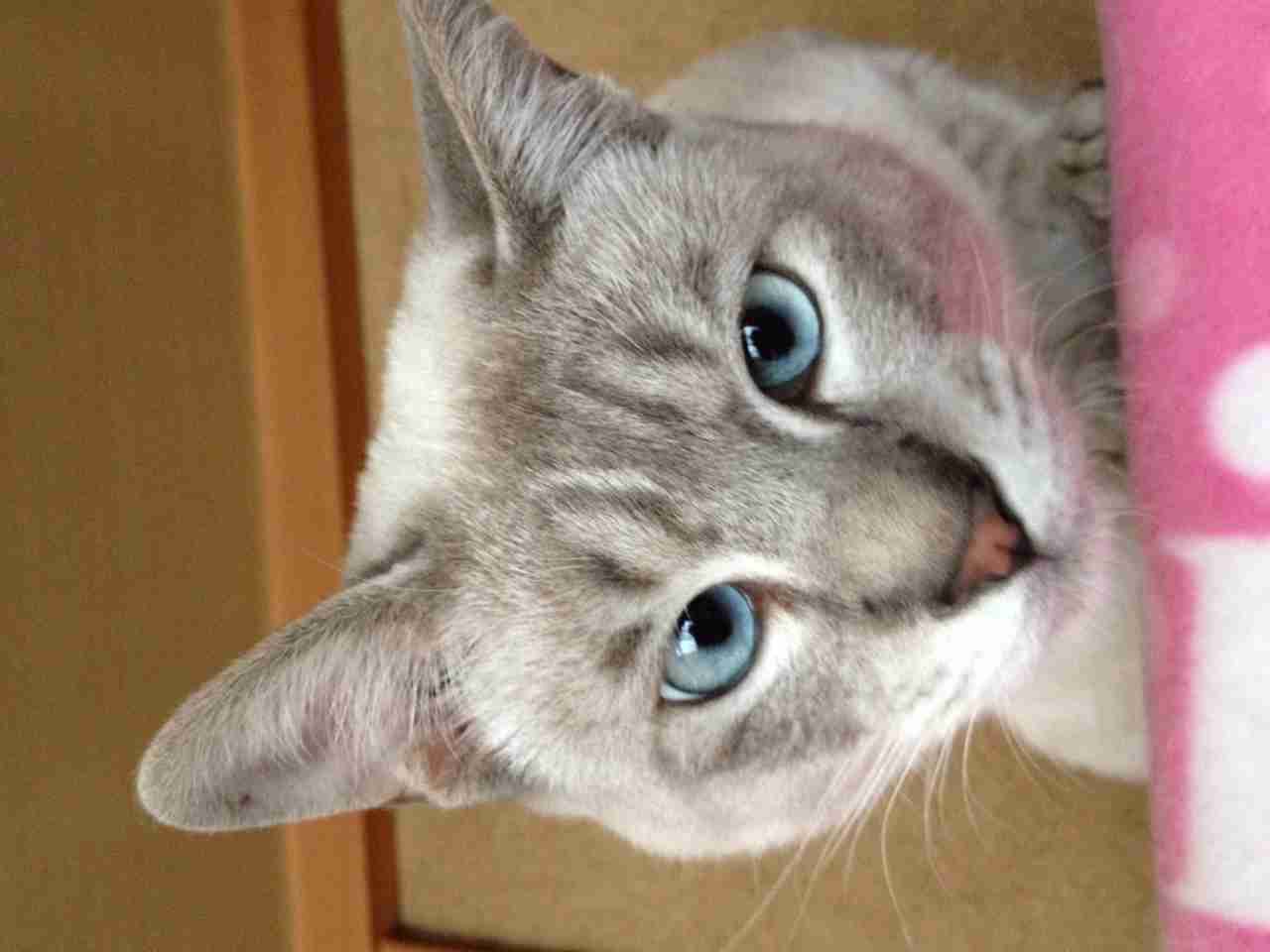 みなさん、今週もお疲れ様です。イケメン画像で目の回復を。