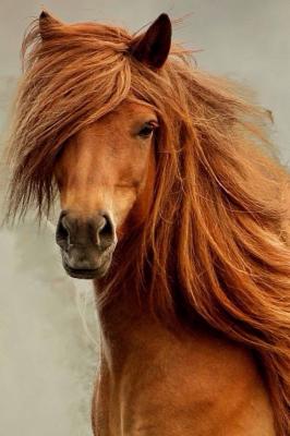 みなさん、今週もお疲れ様です。イケメン画像で目の回復を。