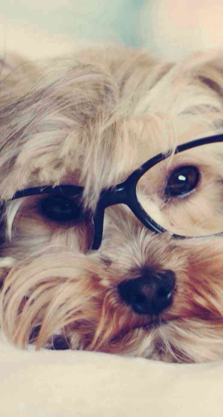 みなさん、今週もお疲れ様です。イケメン画像で目の回復を。