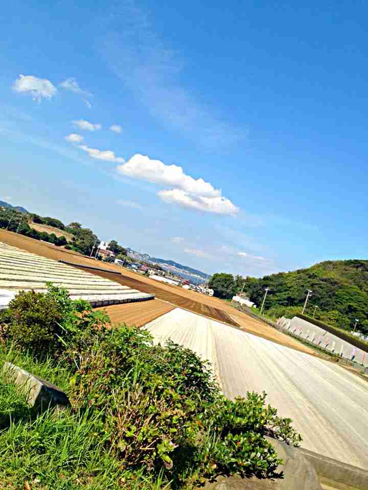 心が洗われるような画像ください