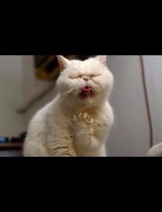 HKT48指原莉乃、恋愛解禁になったら「いきなりママになっちゃうかも」