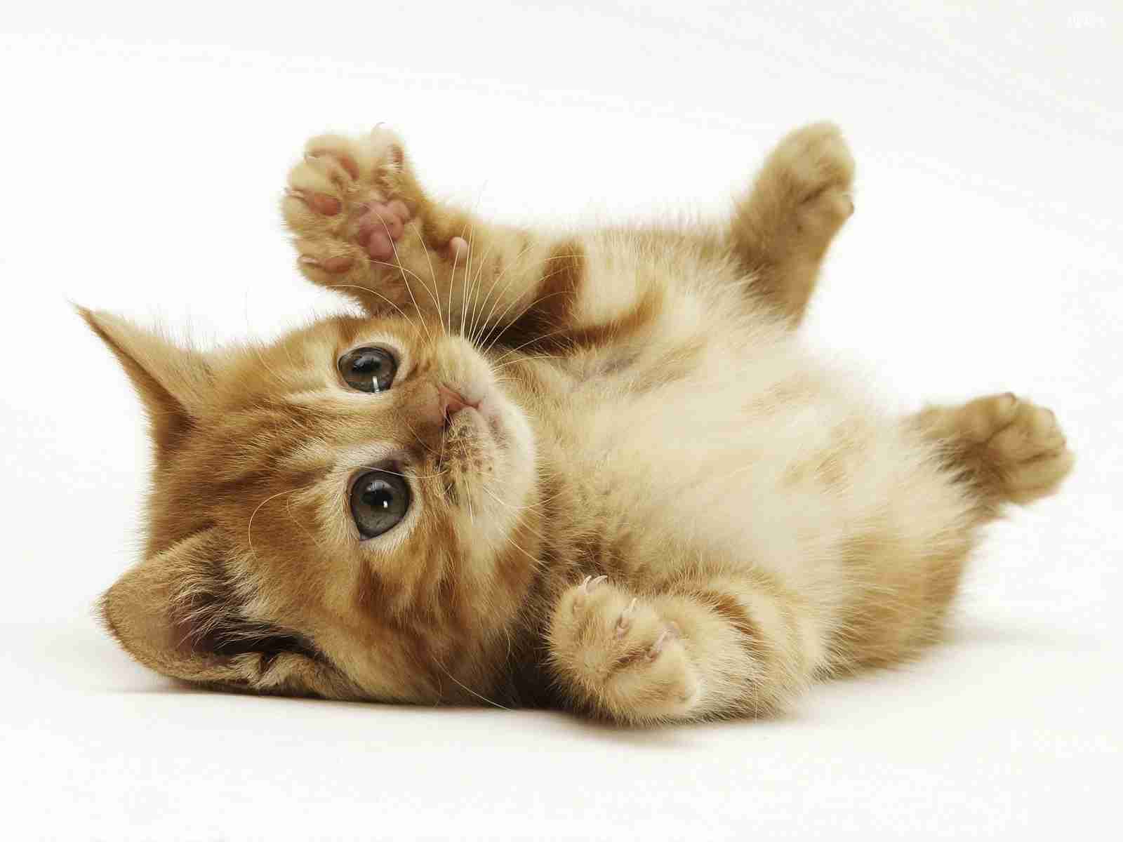 嵐・大野智が最近キュンキュンしたことは？