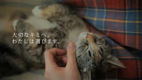 つい手を止めて見てしまうCM