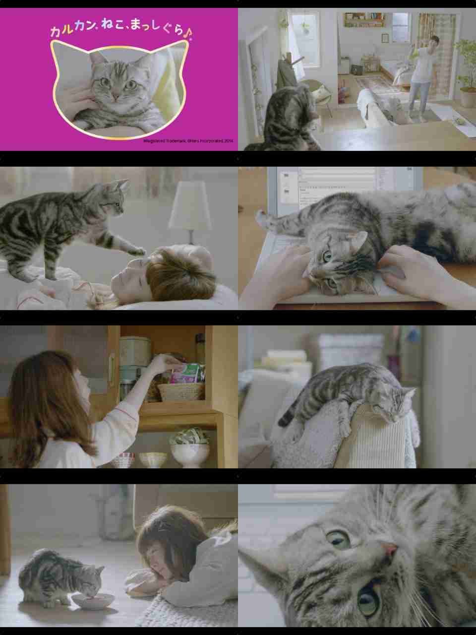 つい手を止めて見てしまうCM