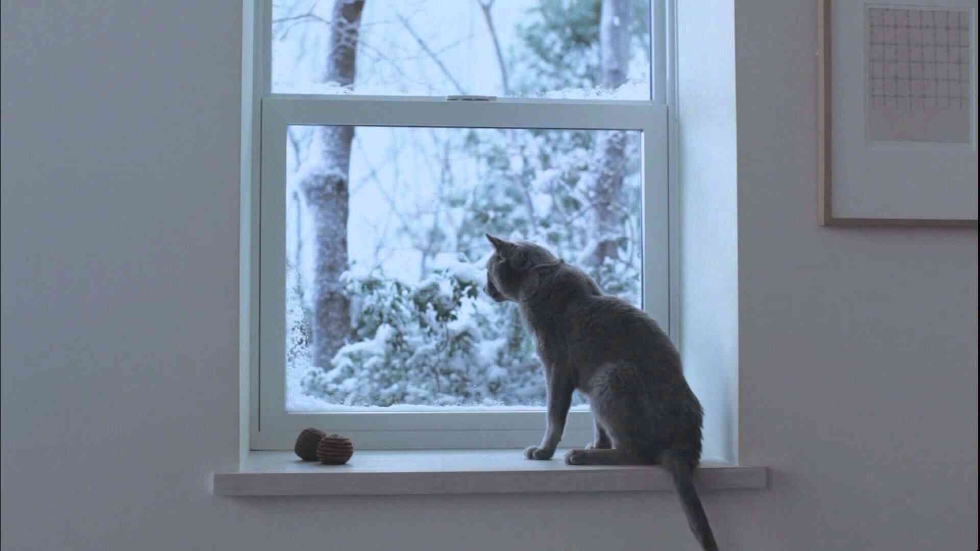 つい手を止めて見てしまうCM