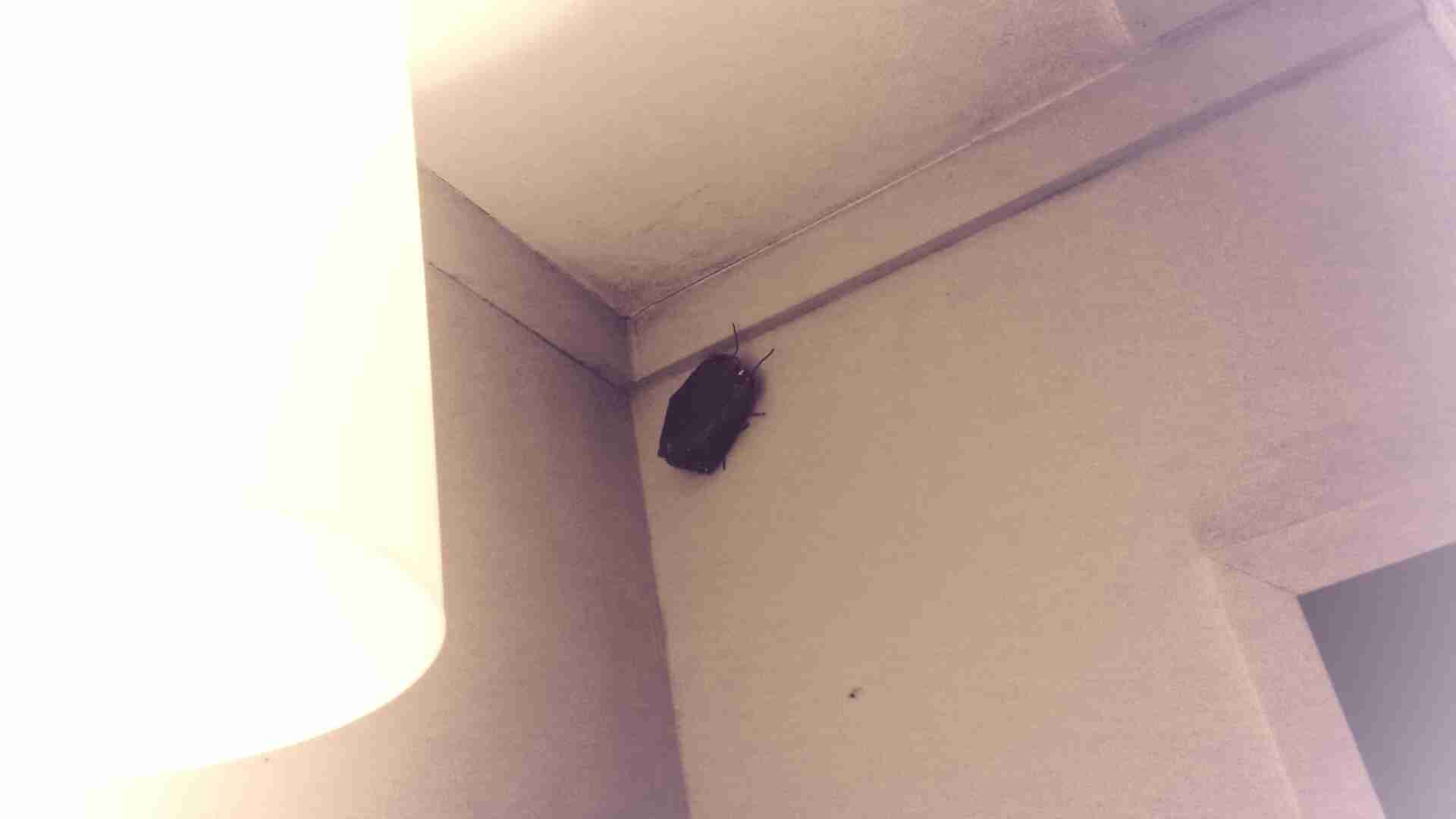 【報告】今日ついた嘘と反応は？