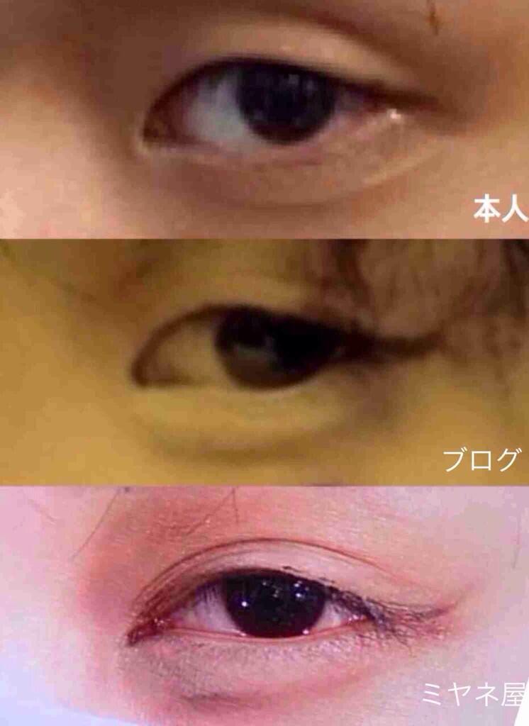 モノマネメイクのざわちん。Twitterで自身への批判ツイートを晒し、性格が悪い？と話題に。