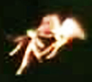 【妖精画像あり】英国大学講師が「妖精を撮影した」と主張!ネットに公開して議論に発展