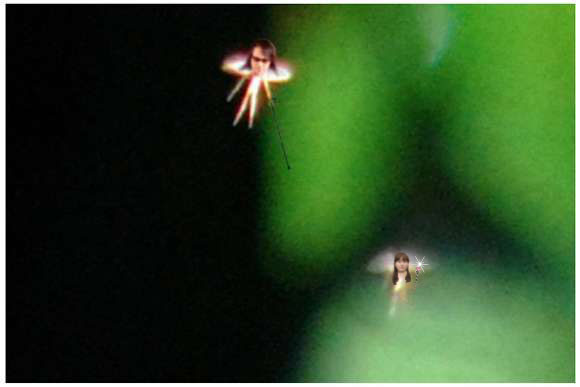 【妖精画像あり】英国大学講師が「妖精を撮影した」と主張!ネットに公開して議論に発展