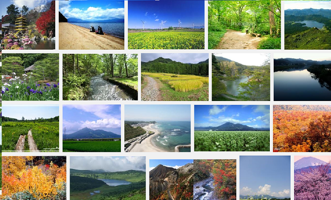 原発についてどう思いますか?