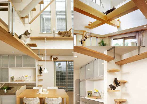 もしも家を建てるなら