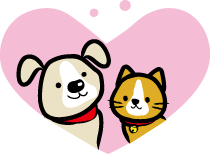 ペット   何か飼ってますか？