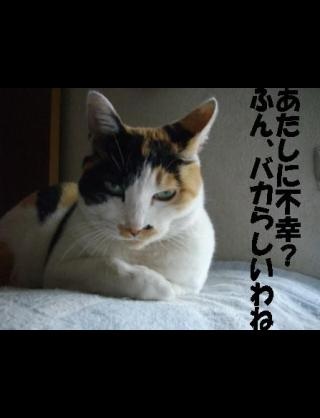 不幸な人あるある