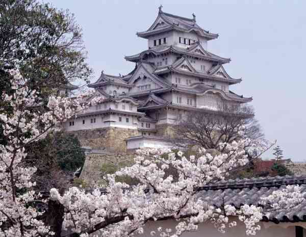 和を感じる画像♪( ´▽`)