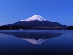 和を感じる画像♪( ´▽`)