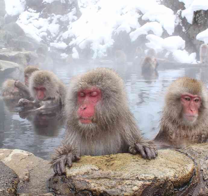 和を感じる画像♪( ´▽`)