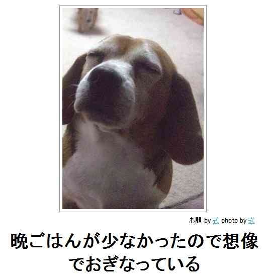 奈良の鹿せんべいが小さく薄くなっている事が判明 消費増税でシカたなく?