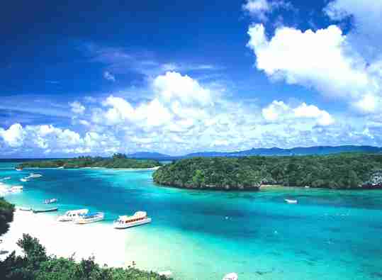 地元でない場所に家を永住を決めた方いますか？