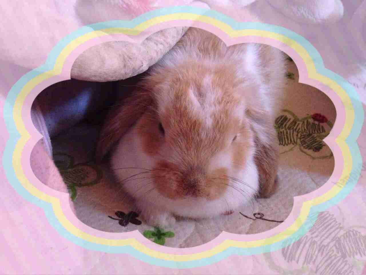 今日笑ったこと何ですか？